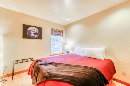 Frog Terrace image 12