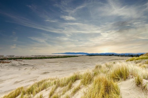 Frog Terrace image 20