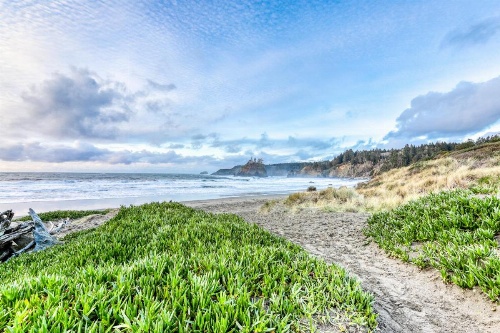 Frog Terrace image 21