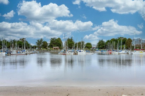 Frog Terrace image 22