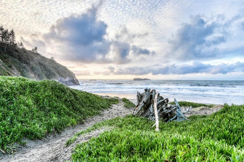 Frog Terrace image 23