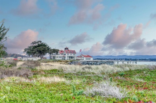 Frog Terrace image 24